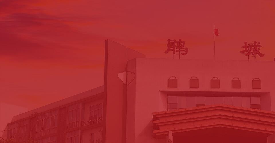 公司簡介